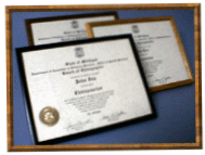 State of Michigan  Wall Certificates